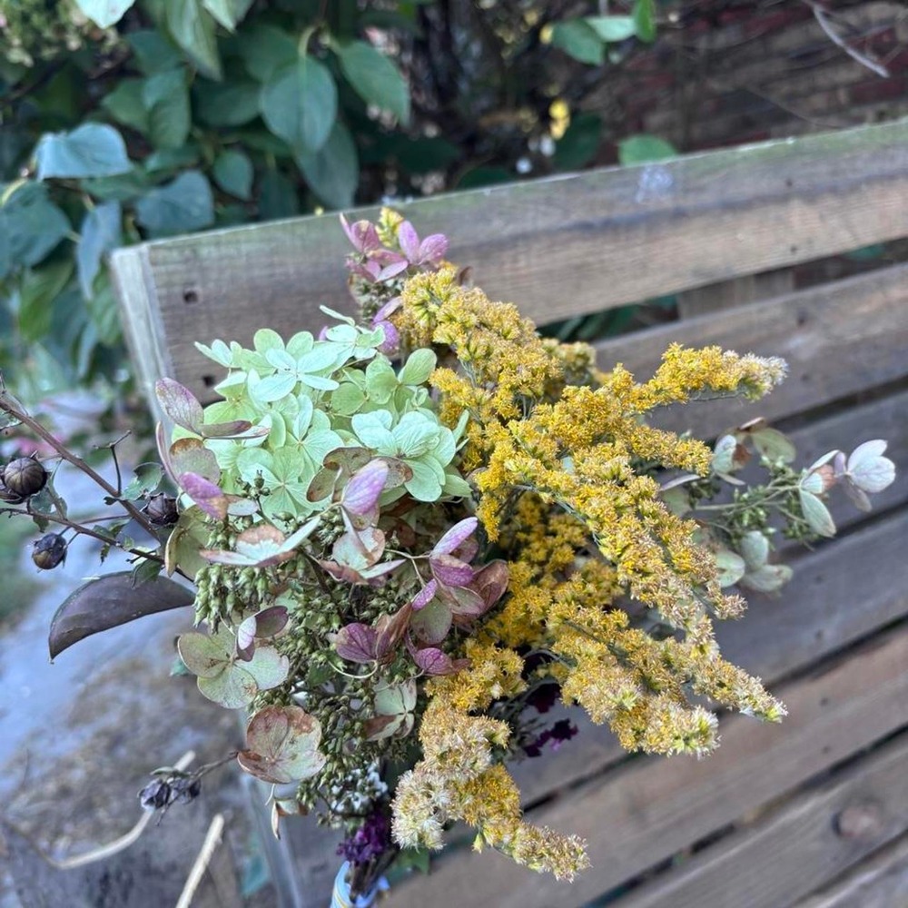 Preserved Goldenrod and Hydrangea Bouquet Real Dried Wildflower 11in Arrangement